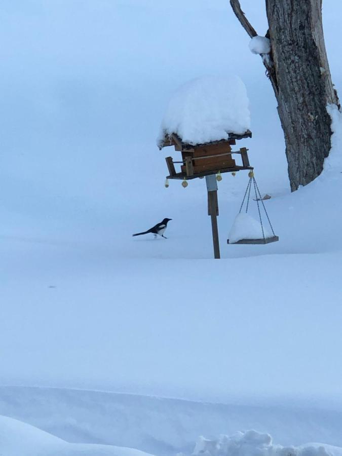 Magnifique Maison Pres Du Centre Nendaz Kültér fotó